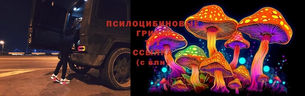 скорость Нязепетровск