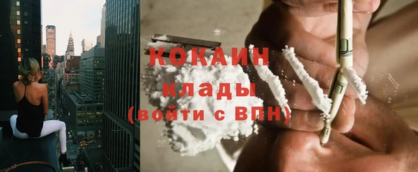 ПСИЛОЦИБИНОВЫЕ ГРИБЫ Няндома